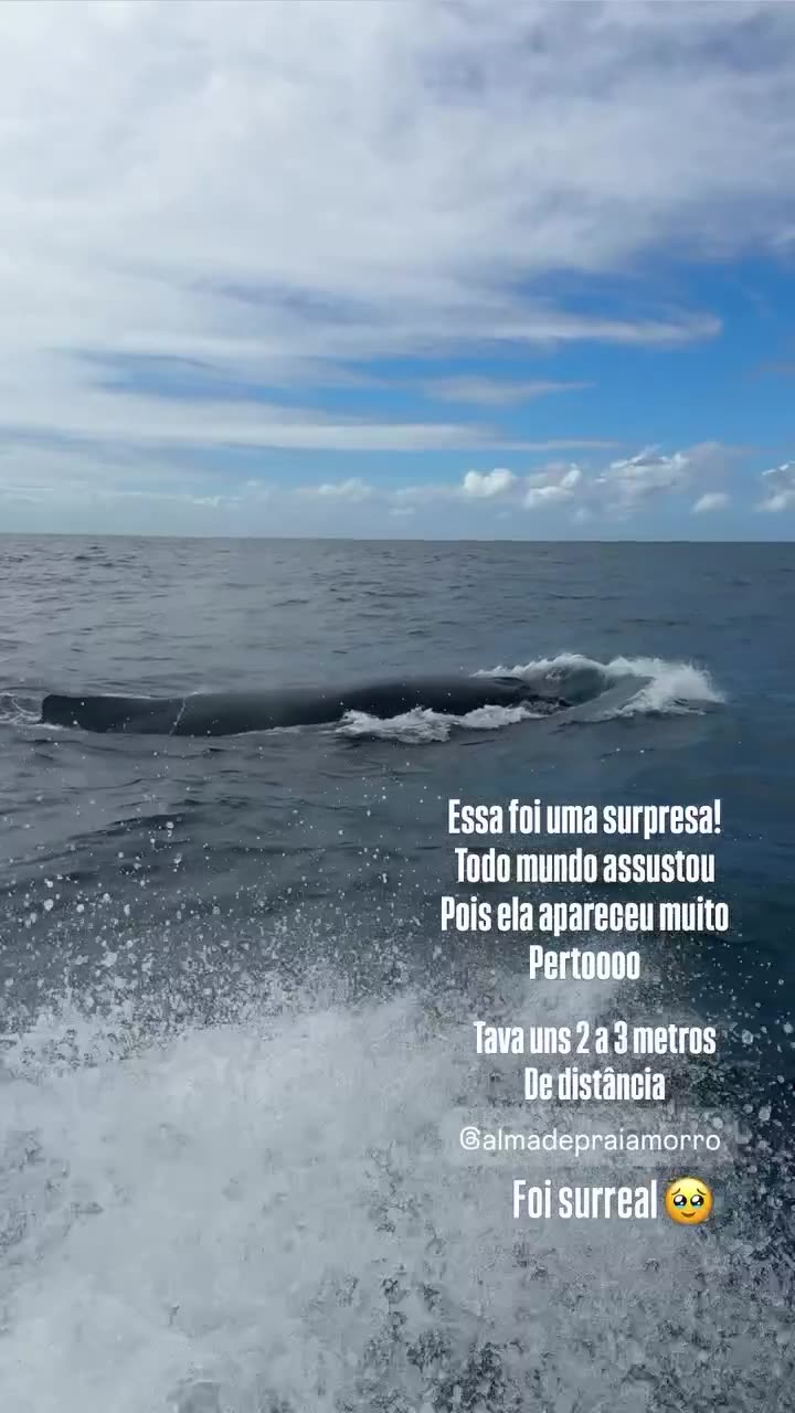 Baleia bem pertinho do barco: foi surreal