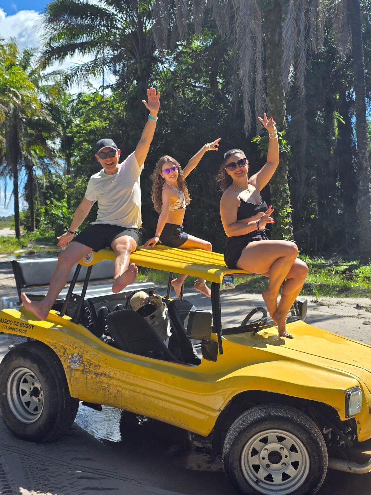 Praia deserta de areia dourada cercada por coqueiros