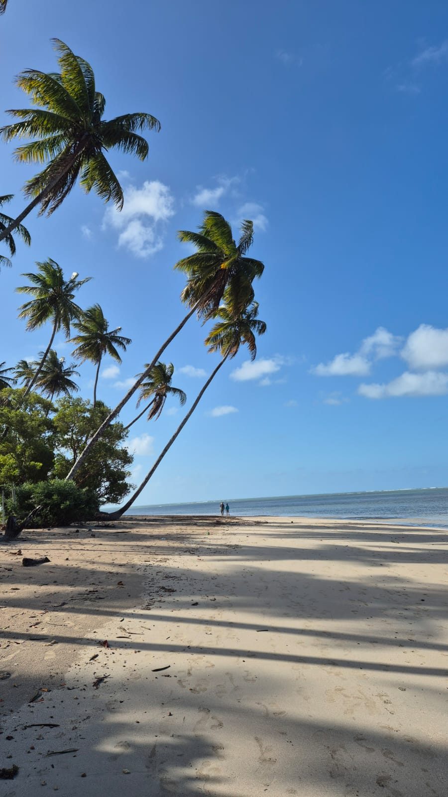 Praia de areia branca com coqueiros e mar turquesa