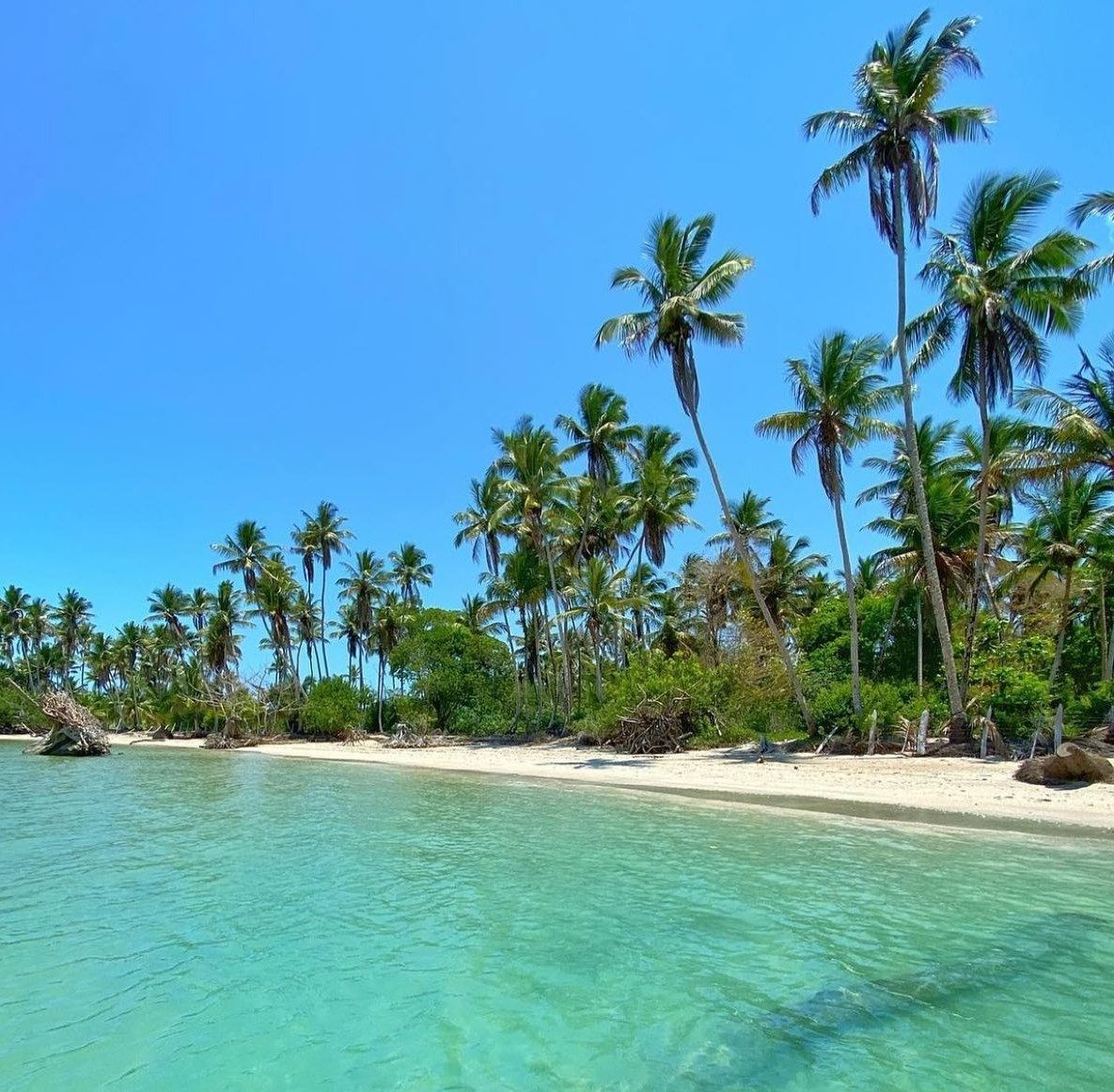 Praia de areia branca com coqueiros e mar turquesa