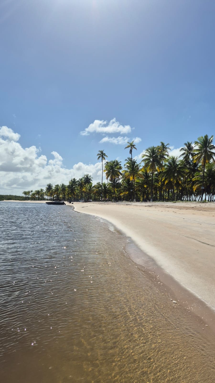 Faixa de areia clara e coqueiros na Quarta Praia de Morro de São Paulo