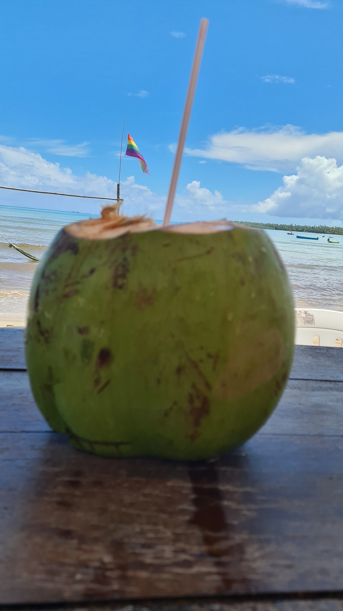 Experiências e passeios com a Alma de Praia Morro