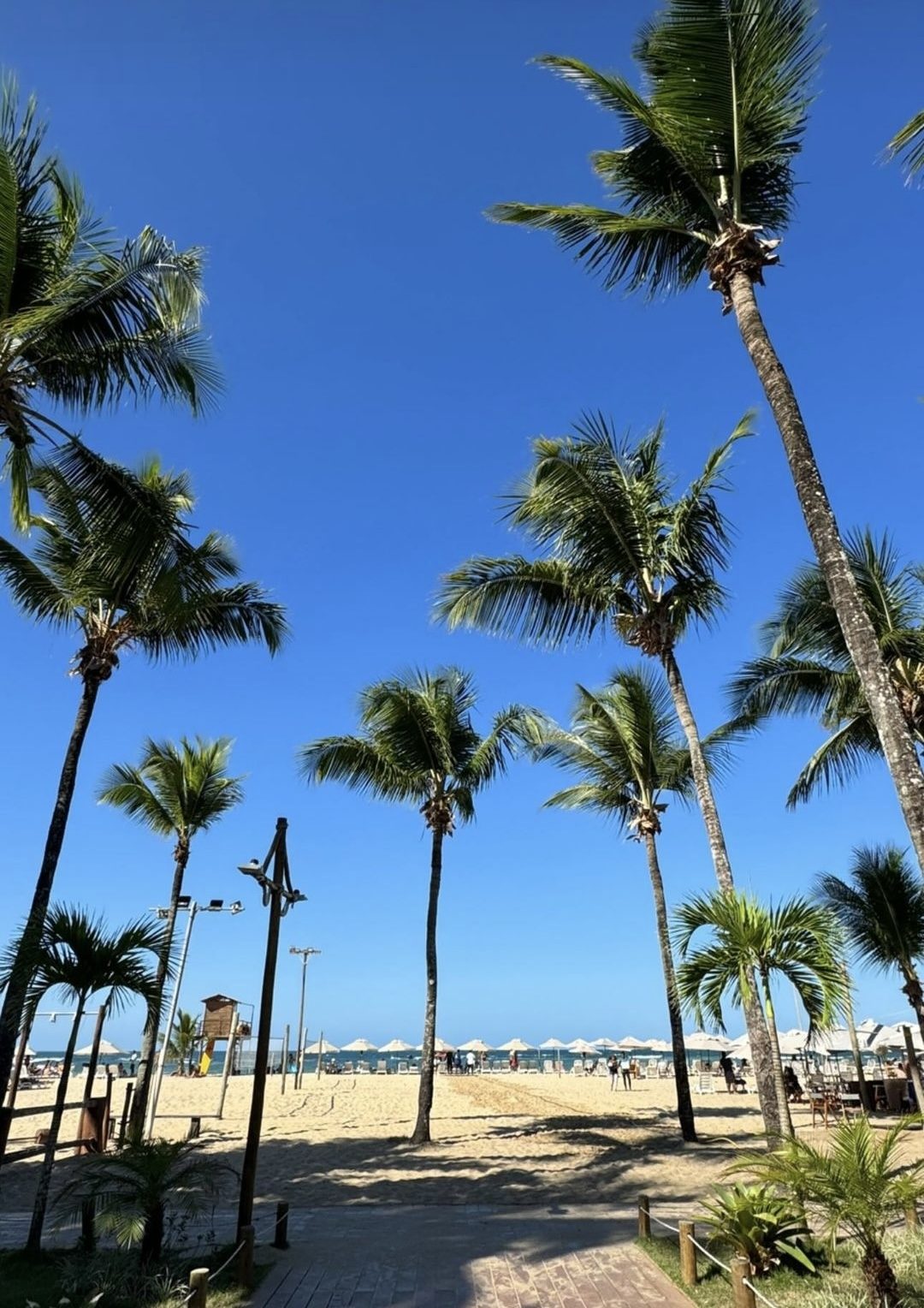 Praia de areia branca com coqueiros e mar turquesa